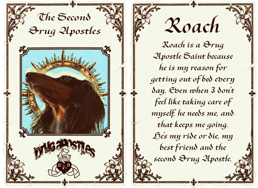 Roach, mini Doxy, mini dachshund, the drug apostles, the second apostle